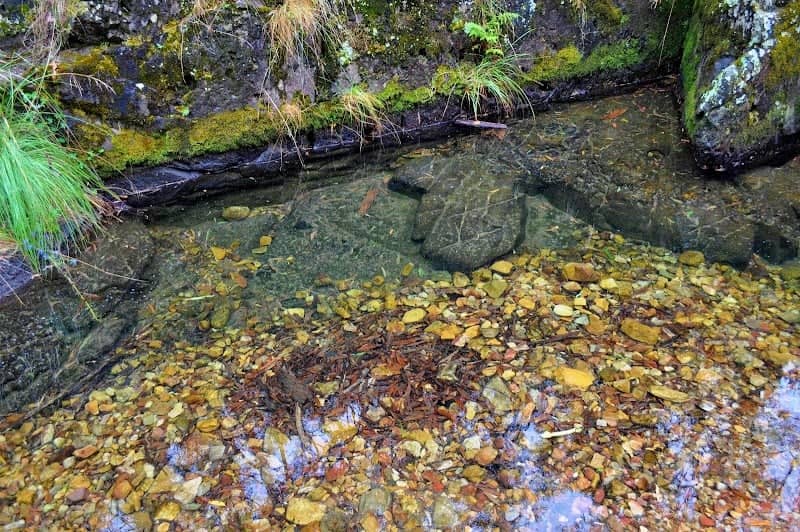 Turon State Forest - Image 1