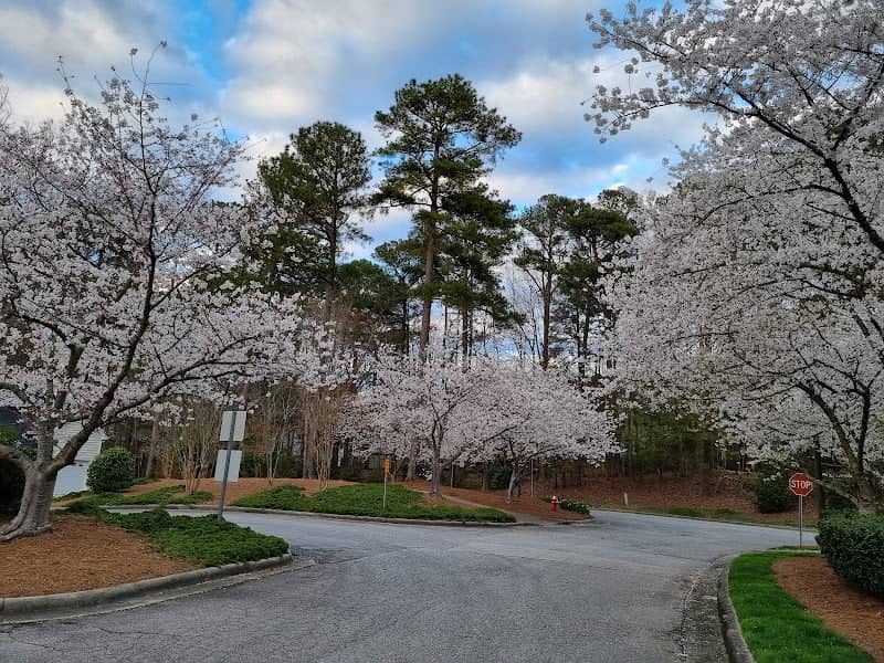 White Oak Creek Greenway - Image 2