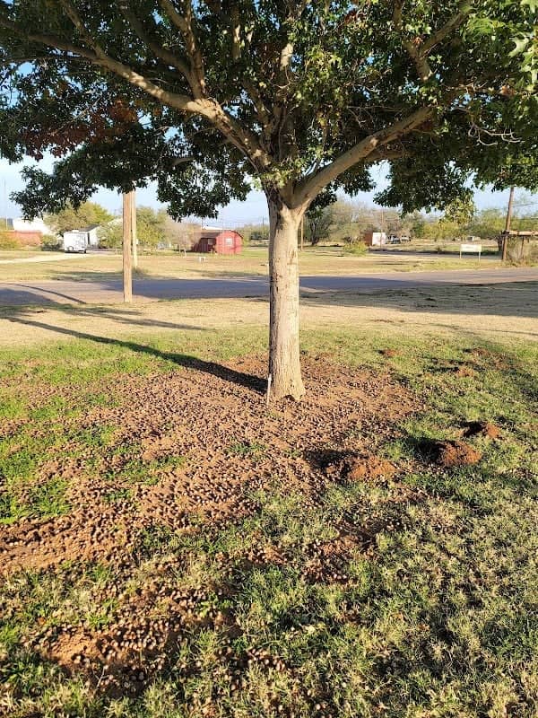 Akron Street Park - Image 1
