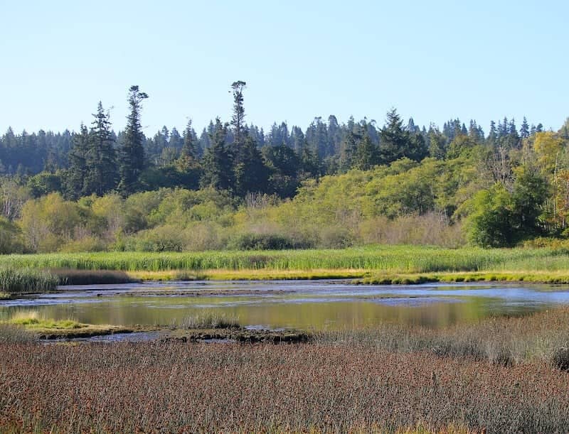 Edmonds Marsh - Image 2