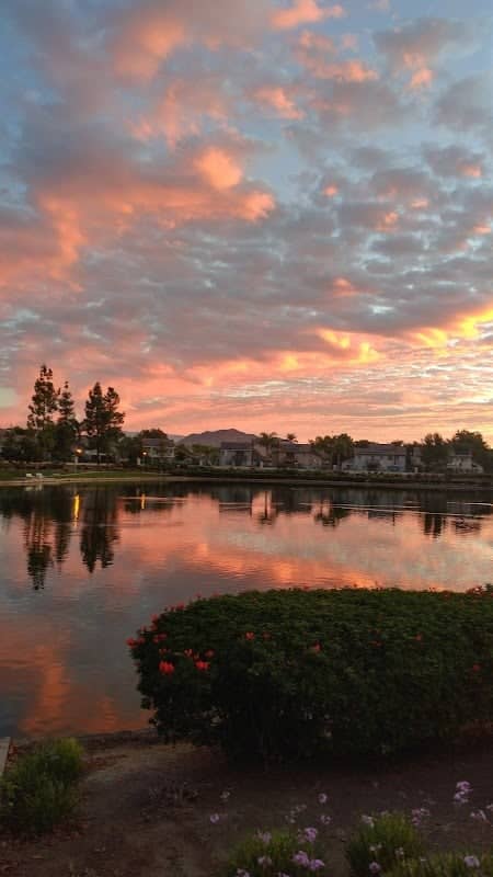 La Paloma Park, Valley-Wide Recreation and Park District - Image 3