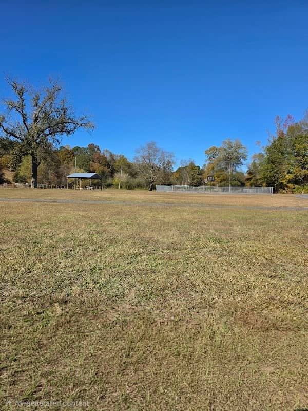 Dillard Park - Image 1