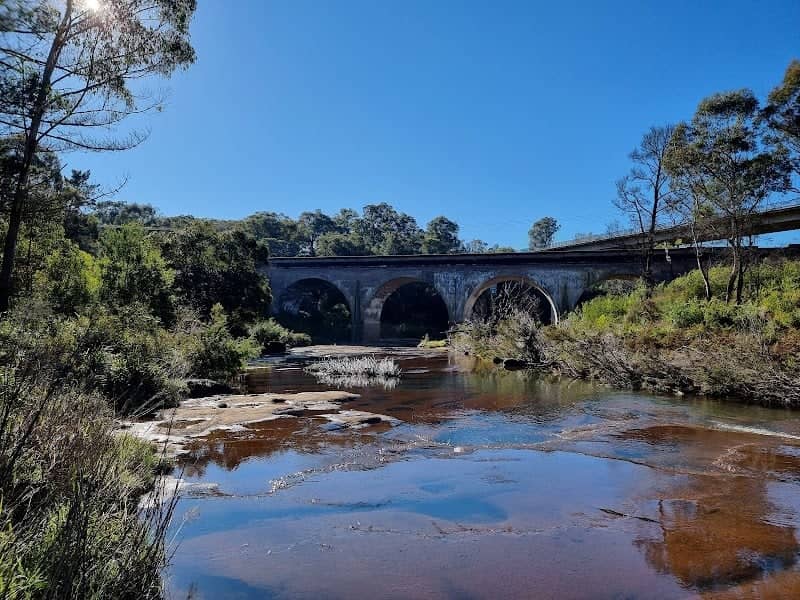 Bargo River Reserve - Image 2