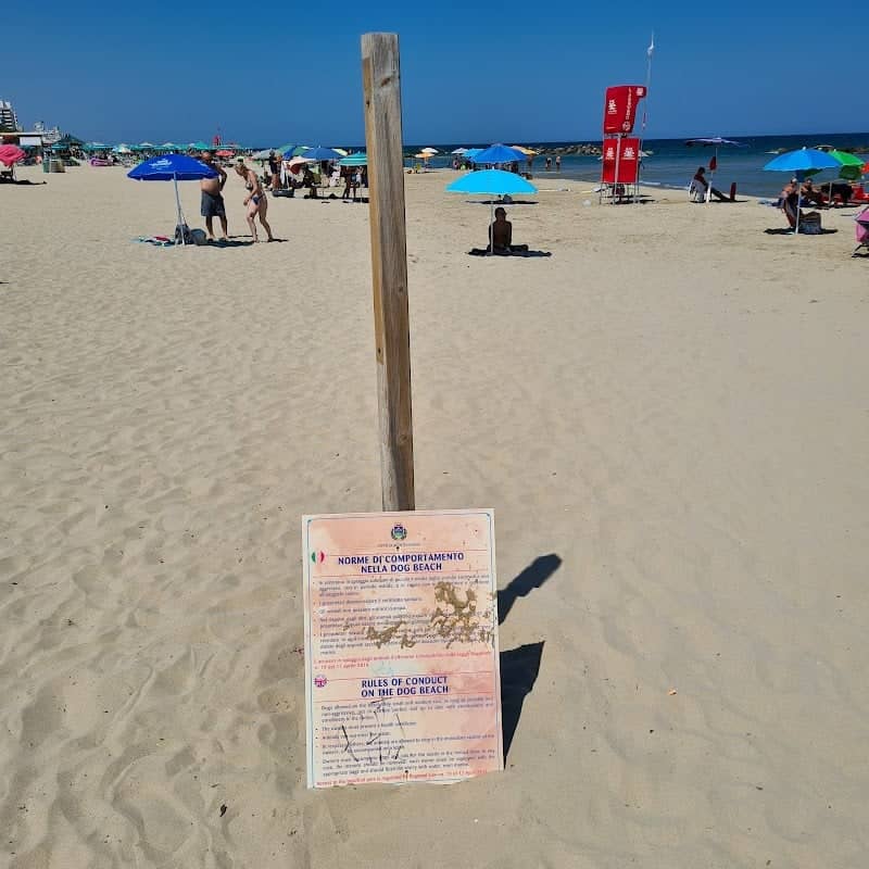 Dog beach - Image 1