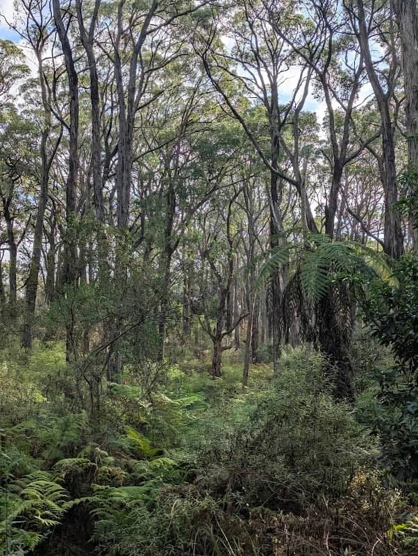 Wuchatsch Reserve - Image 1
