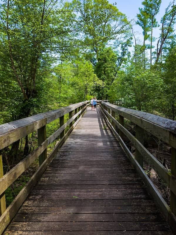 Fair Bluff River Walk - Image 2