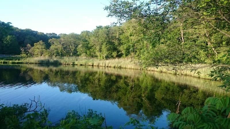 Squantum Woods Park - Image 3