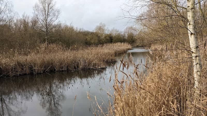 Lattersey Local Nature Reserve - Image 1