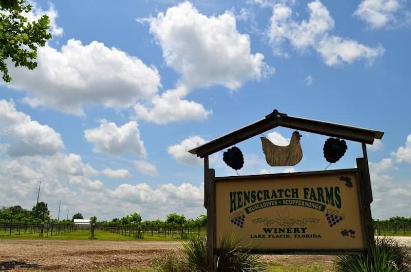 Henscratch Farms - Image 2