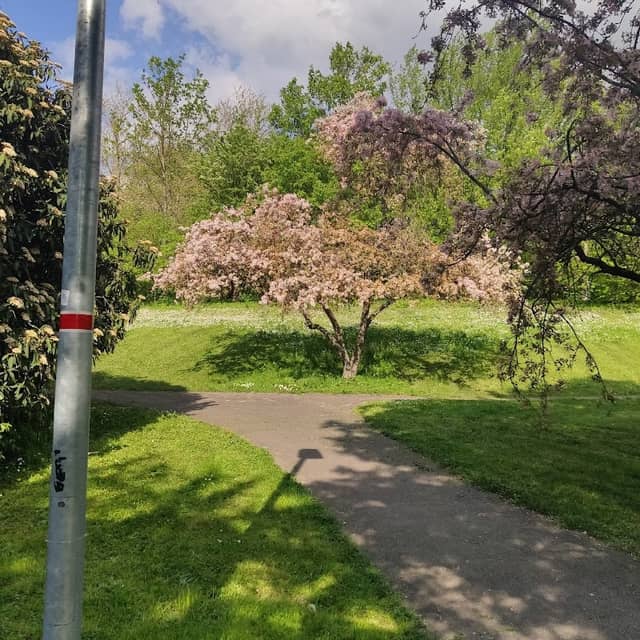 Kleiner Stadtparksee - Image 1