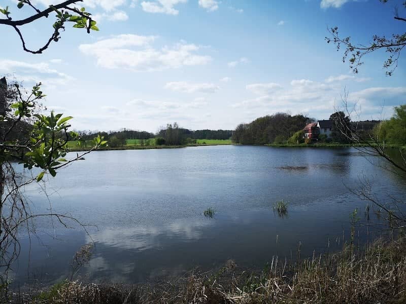 Staudamm Vorbecken Neumalsitz - Image 1