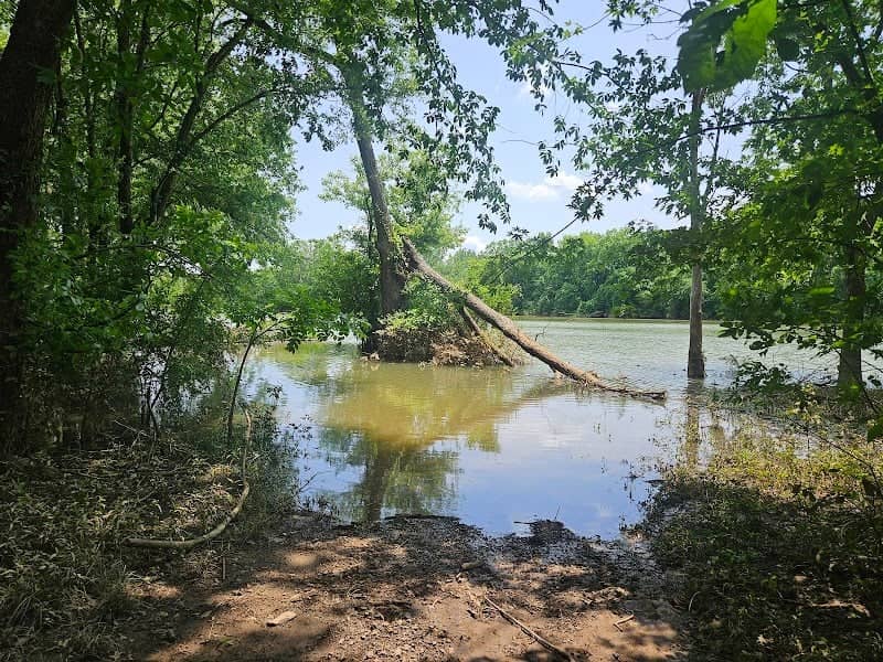 Frog Bayou WMA Lower Parking - Image 2