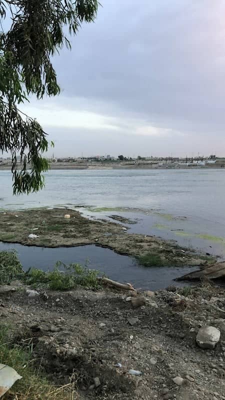 غابات الموصل - Image 1