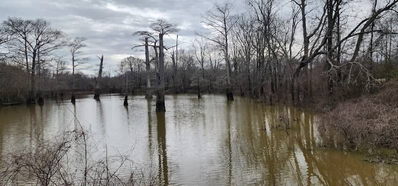 Tallahatchie National Wildlife Refuge - Image 1