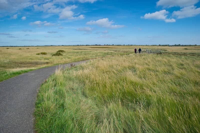 Gibraltar Point National Nature Reserve - Image 1