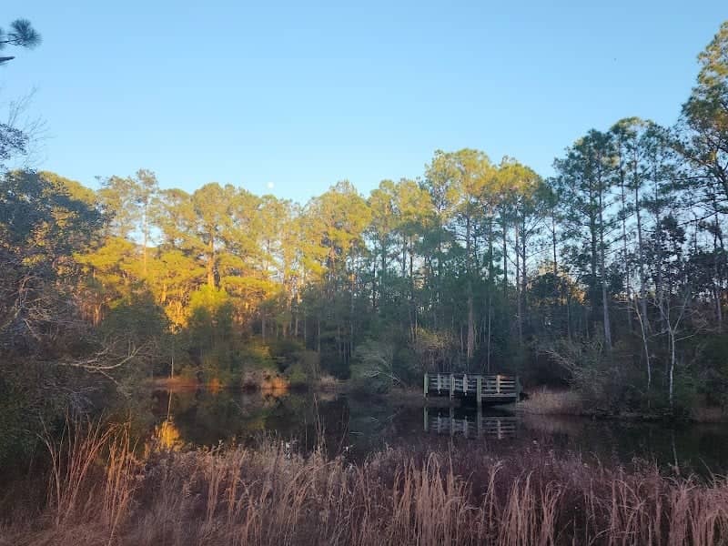 City Of Gulf Shores Wetlands Park - Image 3
