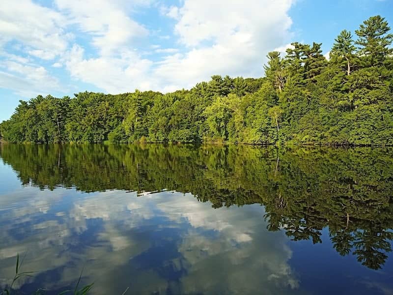 Zielie PARK - Image 3