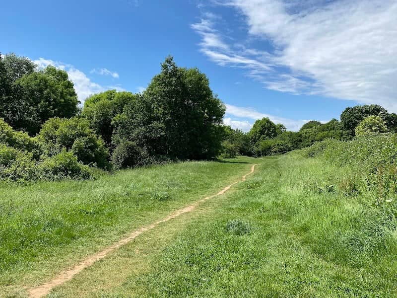 Mincinglake Valley Park - Image 1