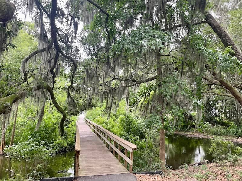 Cypress Wetlands - Image 3