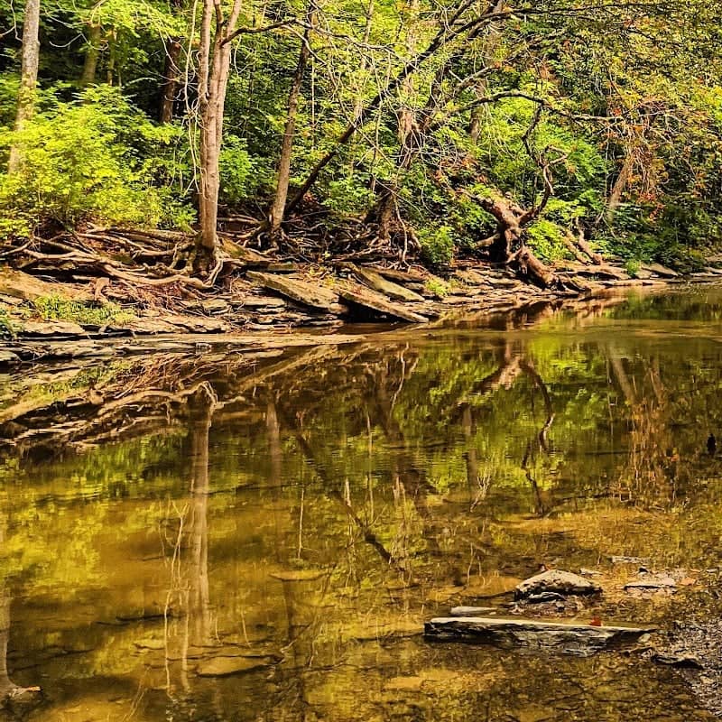 South Fork Park - Image 2