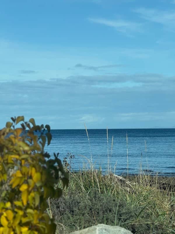 Buller Beach - Image 1