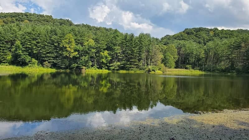 Lamping Homestead Recreation Area - Image 2
