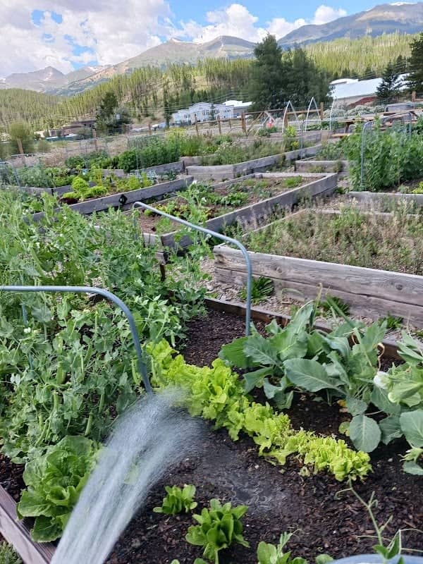 Breckenridge Community Gardens - Image 1