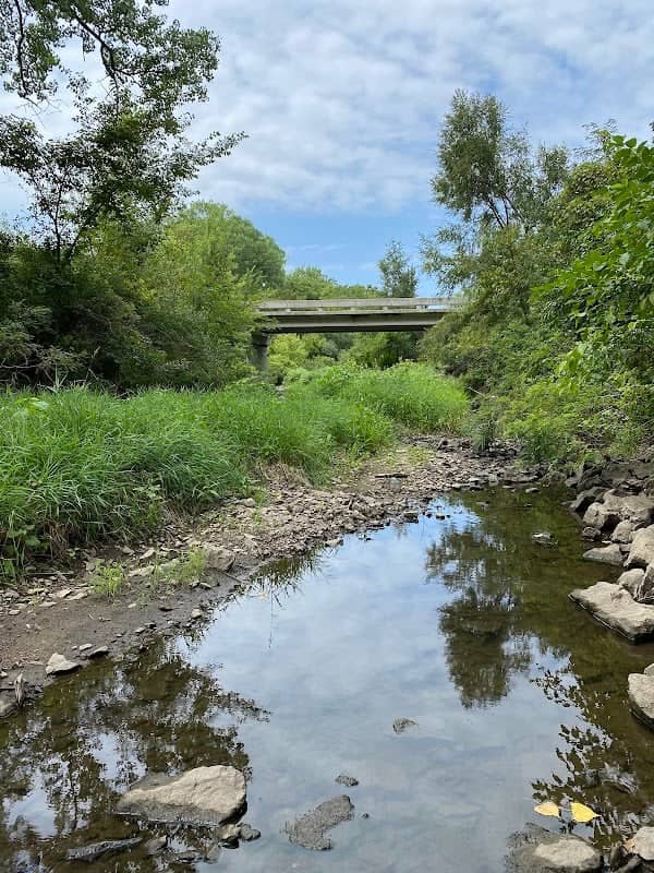 Hanson Prairie Preserve - Image 2