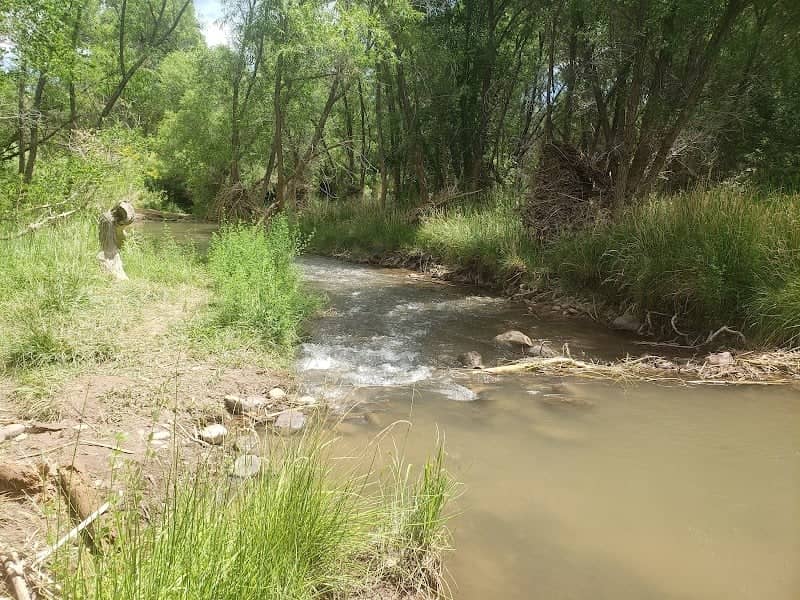 Verde River Greenway State Natural Area - Image 3