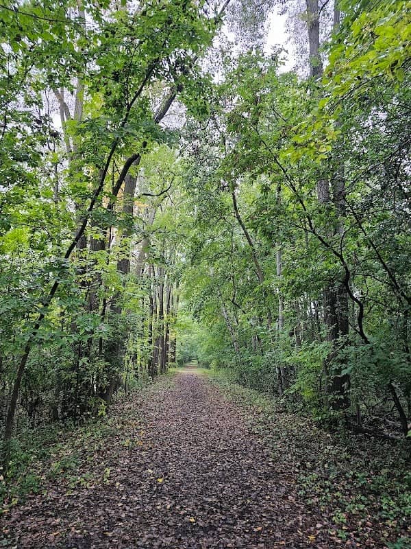 Menasha Conservancy Area - Image 1