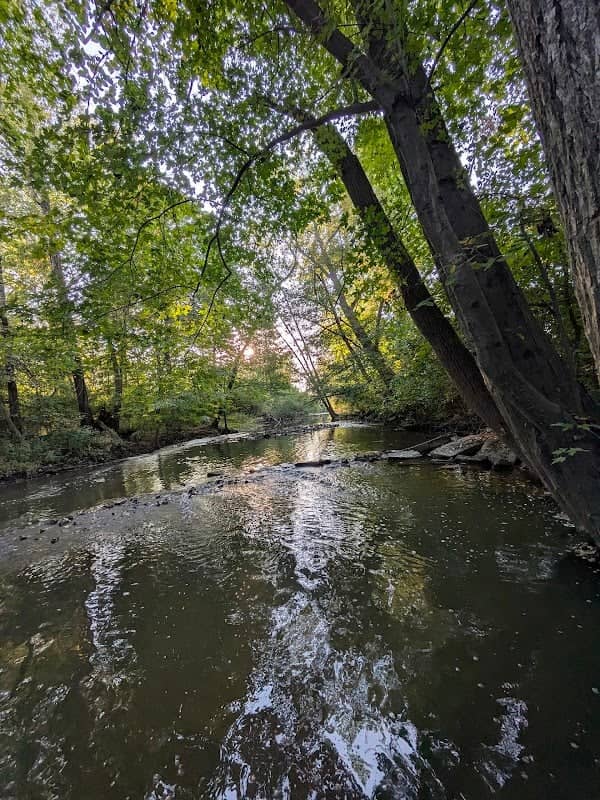Salt Springs Park - Image 2