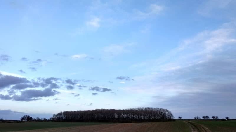 Burcote Wood - Image 1