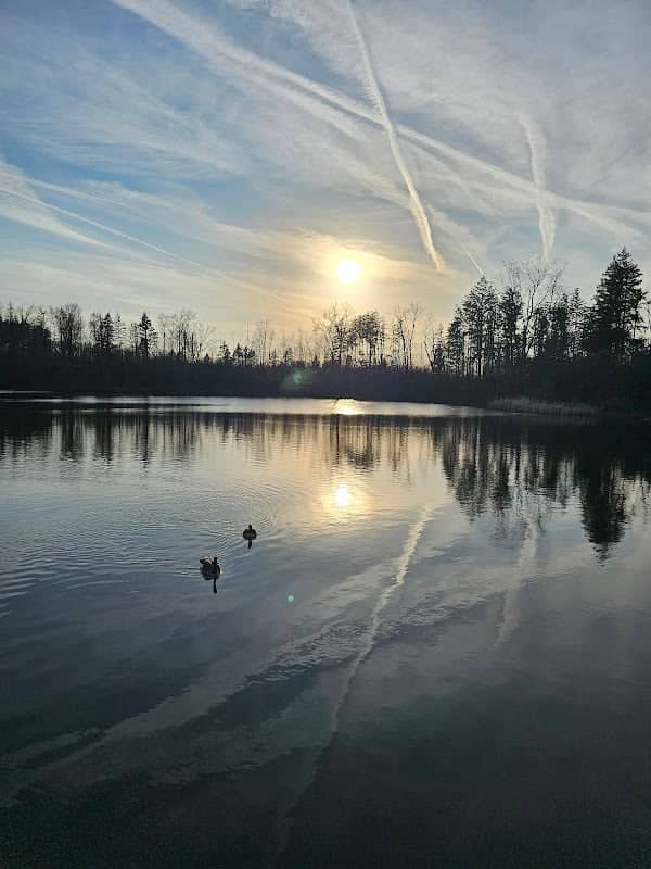 Halsted Road Pond - Image 1