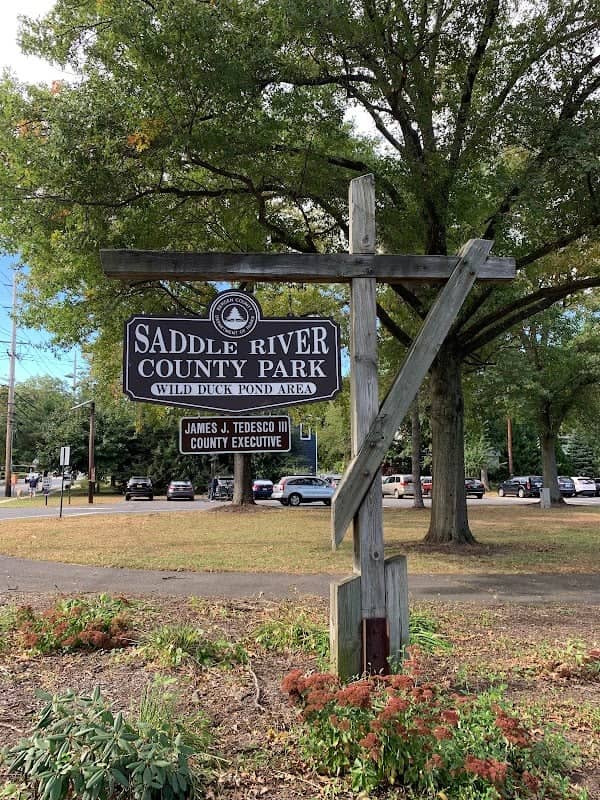 Saddle River County Park-Wild Duck Pond Area - Image 2
