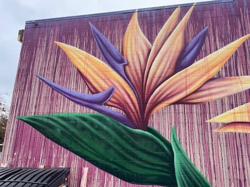 Lemon Grove Hidden Murals - Image 2