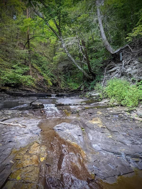 Botsford Nature Preserve - Image 1