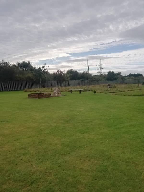 The Cornfield Project - Image 1