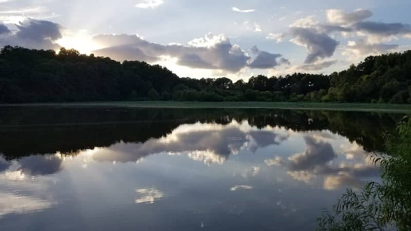 Long Mill Pond - Image 2