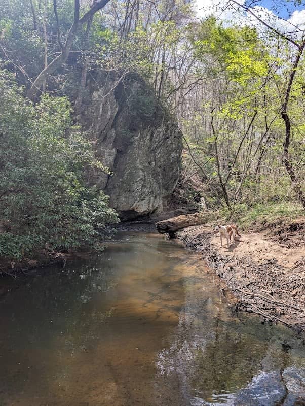 Paulding Forest Wma - Image 1