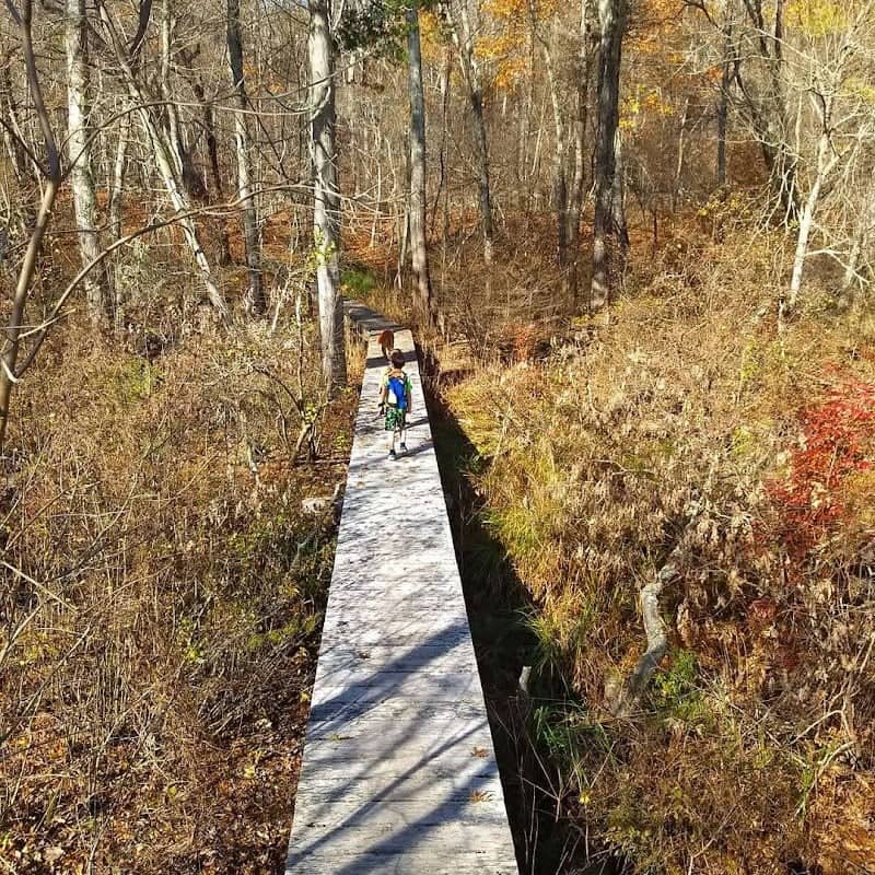 Grills Wildlife Sanctuary, Hopkinton - Image 2