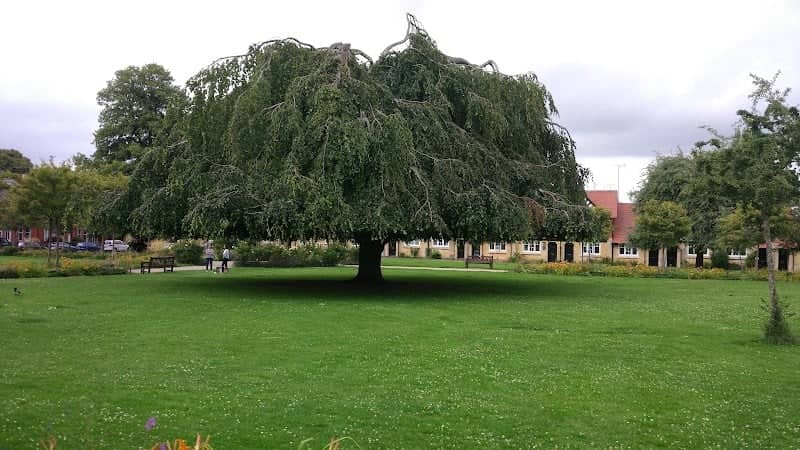 Naunton Park - Image 3