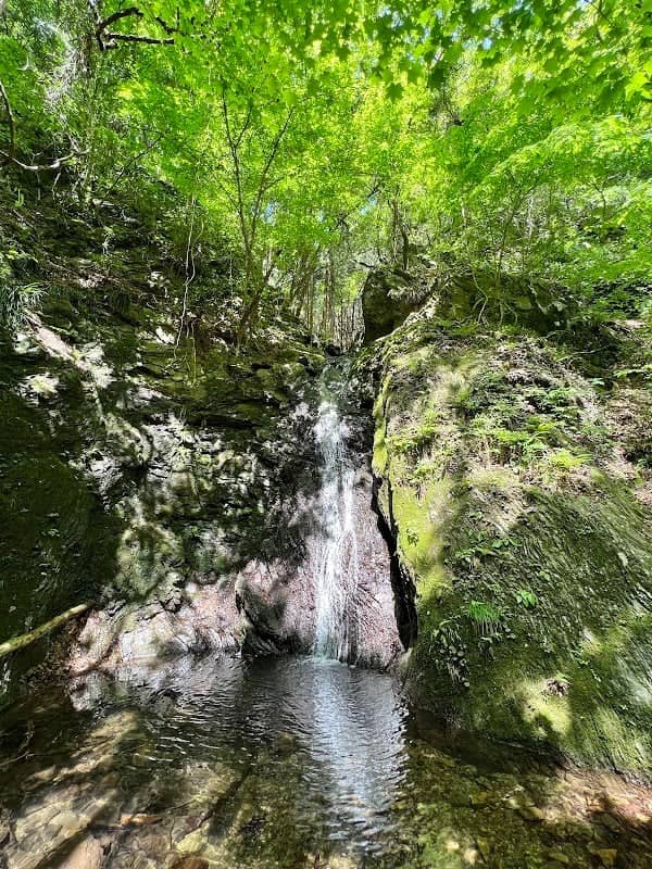 Otaki - Image 1