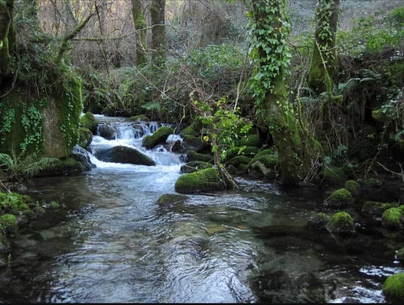 Serra do Oural - Image 1