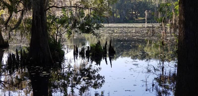 West River Preserve - Image 2