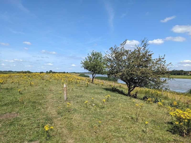 Elster Buitenwaarden (ingang Remmerden) - Image 1