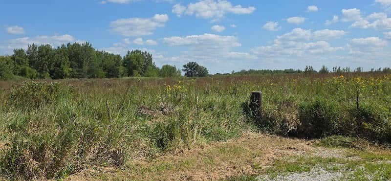 Segebarth Wildlife Area - Image 1