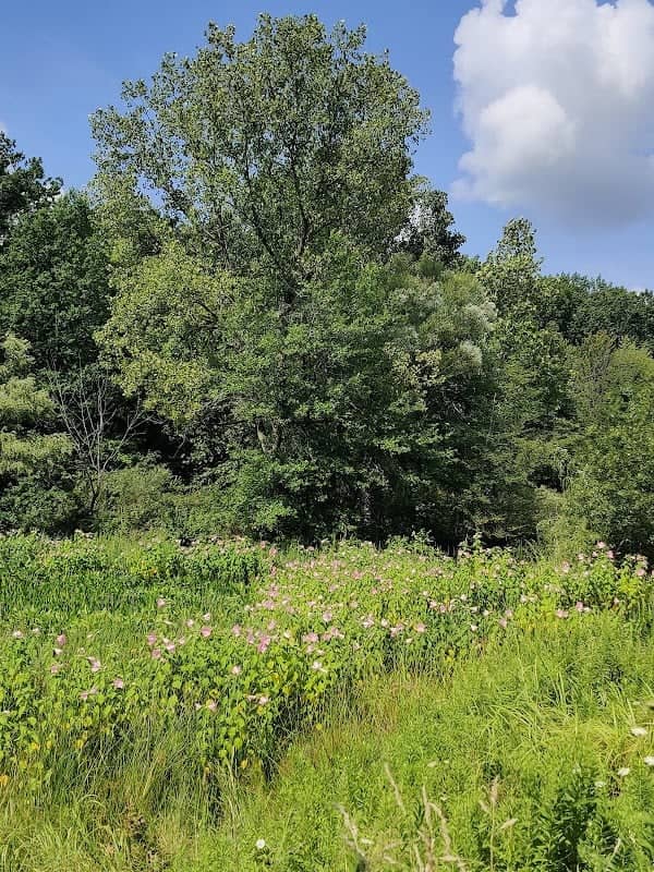 Monarch Bluff Picnic Area - Image 2