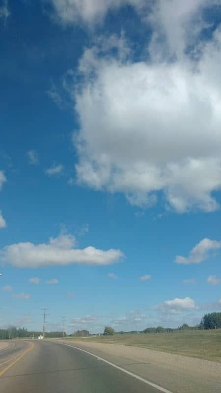 Confederation Park - Image 2