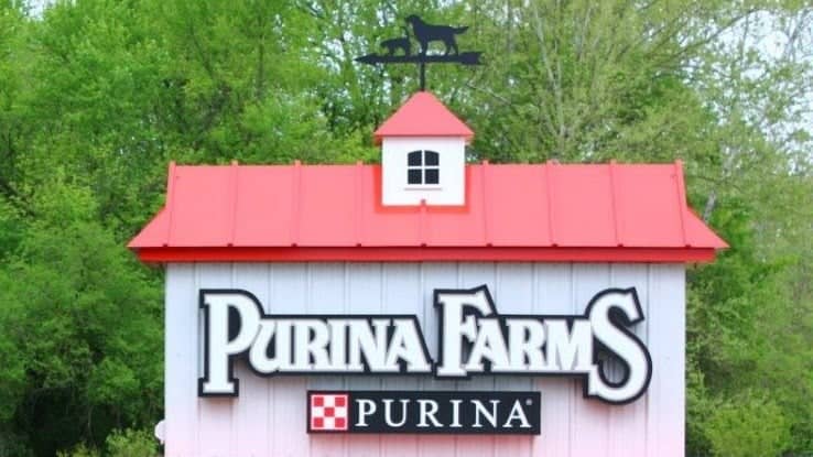 Purina Farms - Image 2
