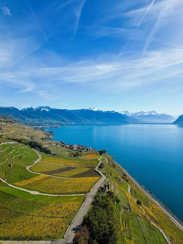 Les vignes de Lavaux - Image 3